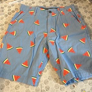 Plugg Flex Sz 29 Blue Watermellon Print Graphic Shorts